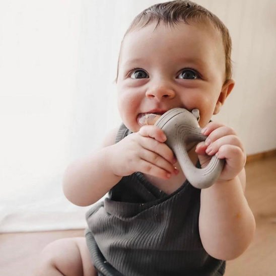 Grignoteuse bebe | Autonomie Sécurité